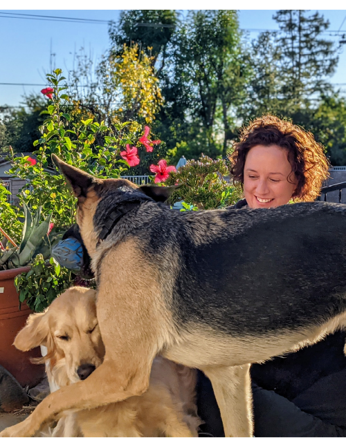 Profile picture of Colleen sitting with her golden retriever and german shepherd